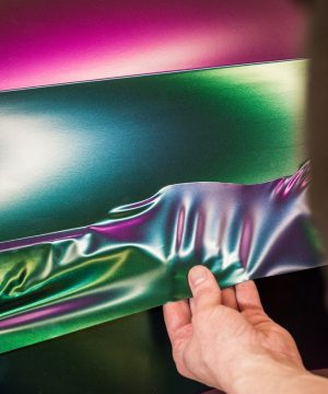 shutterstock_2256305843